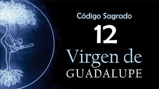 Virgen de Guadalupe con el Código Sagrado 12 Virgen de Guadalupe con el Código Sagrado 12