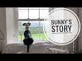 Bunny’s Story ~ How our rescue dog came to live with us