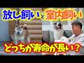【犬の豆知識】愛犬の寿命を縮めるのは放し飼い?室内飼い?