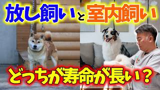【犬の豆知識】愛犬の寿命を縮めるのは放し飼い？室内飼い？