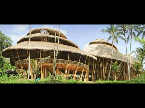 50 Best Bamboo House Ideas