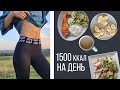 МОЙ РАЦИОН на ПРАВИЛЬНОМ ПИТАНИИ 🥗ЧТО Я ЕМ ЗА ДЕНЬ?🍒ПП VLOG 1500 ККАЛ В ДЕНЬ