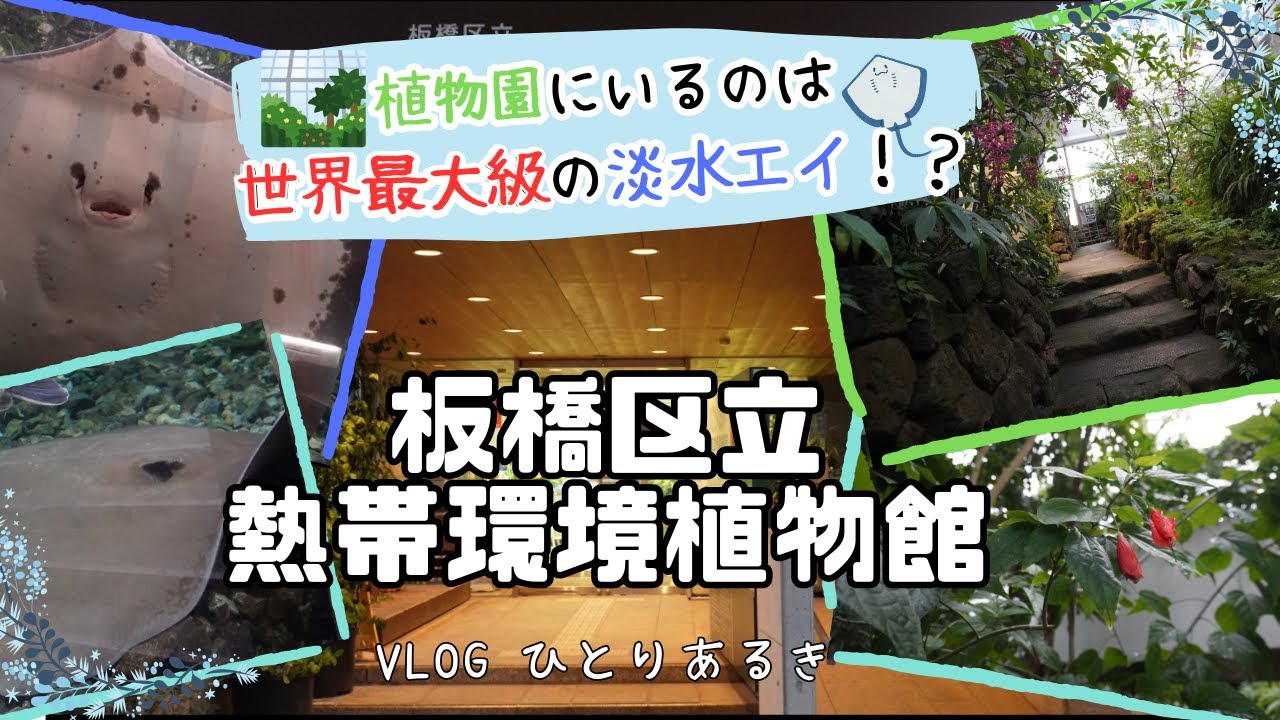 【ひとりあるきvlog】植物園の巨大なエイ！？　板橋区立熱帯環境植物館をあるいてみた編