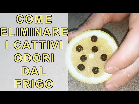 Video: Cause dell'odore nel frigorifero e metodi di eliminazione. Come rimuovere l'odore nel frigorifero a casa