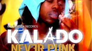 Kalado - Never Punk (Raw) - Blackspyda Records 2016