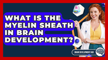 What Is The Myelin Sheath In Brain Development? - Brain Development Hub