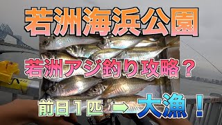 【若洲海浜公園】リベンジ達成！前日惨敗のアジ釣りで方法を変えたら良型アジが入れ食いに！