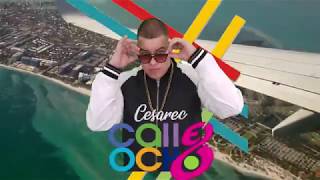 Calle 8 2019 - Cesarec Live