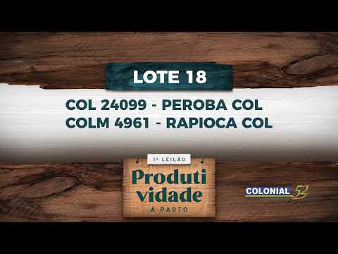 LOTE 18   COL 24099,COLM 4961