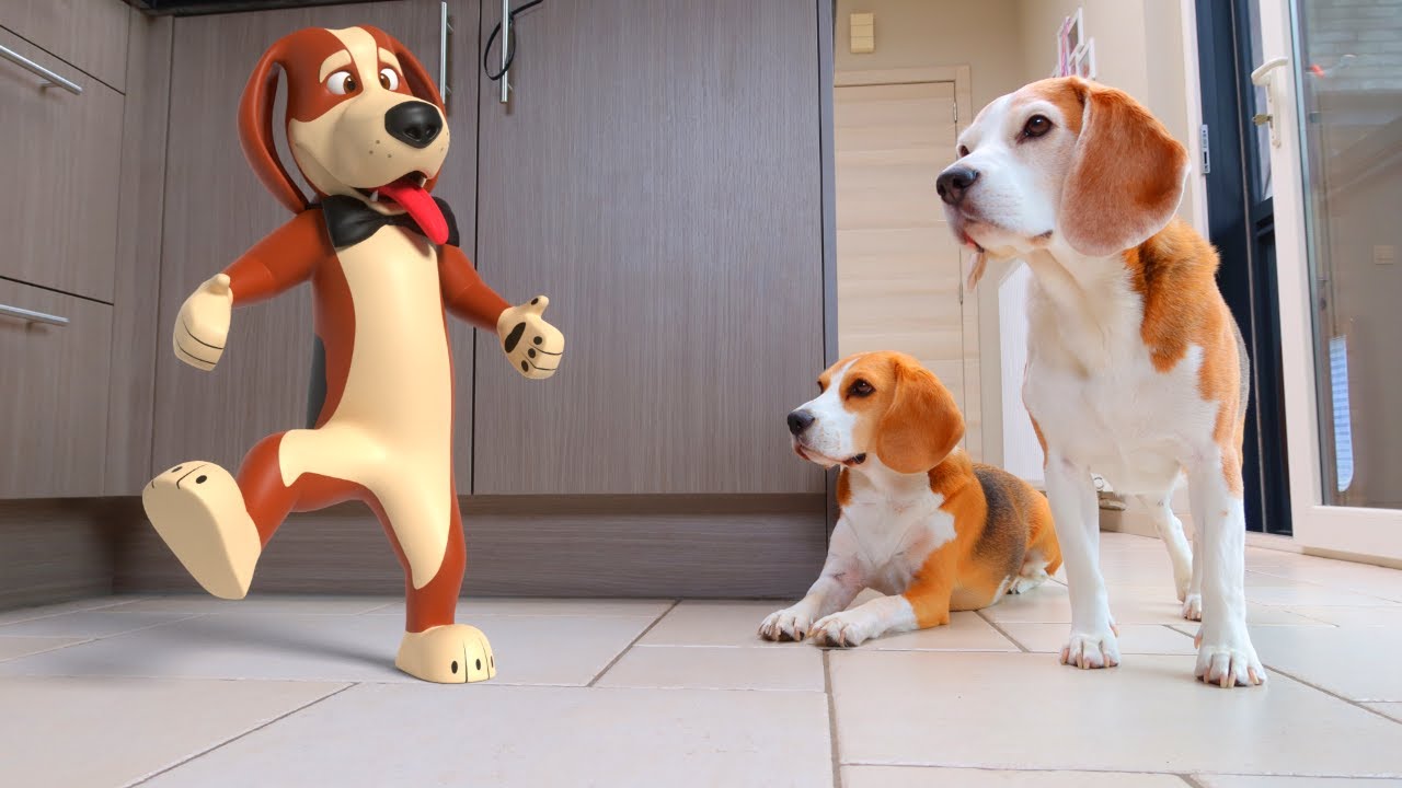 ANIMATED MY DOG IN REAL LIFE : Funny Dogs Louie and Marie