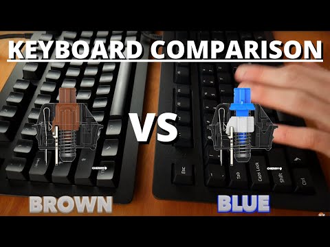 Cherry MX Blue vs Brown - What are The Best Keyboard Switches? - YouTube