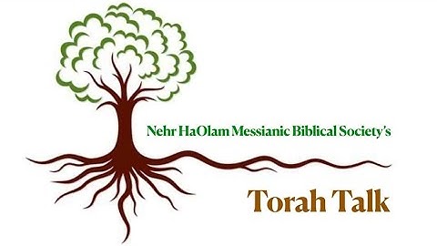 Torah Talk: Lech Lecha