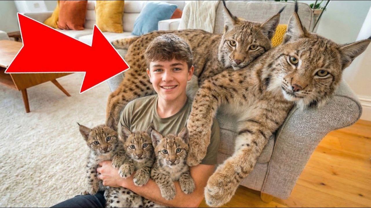 They Were Orphans Abandoned By Mom! We Thought They Were Cats, But They Grew Into THIS!