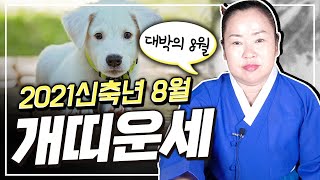 [충남용한무당 옥화보살] 2021신축년 8月 개띠 운세 | 띠별운세 나이별운세