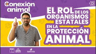 ¿Cómo las instituciones gubernamentales protegen a los animales?🧐🐶