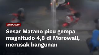 Sesar Matano picu gempa magnitudo 4,8 di Morowali, merusak bangunan
