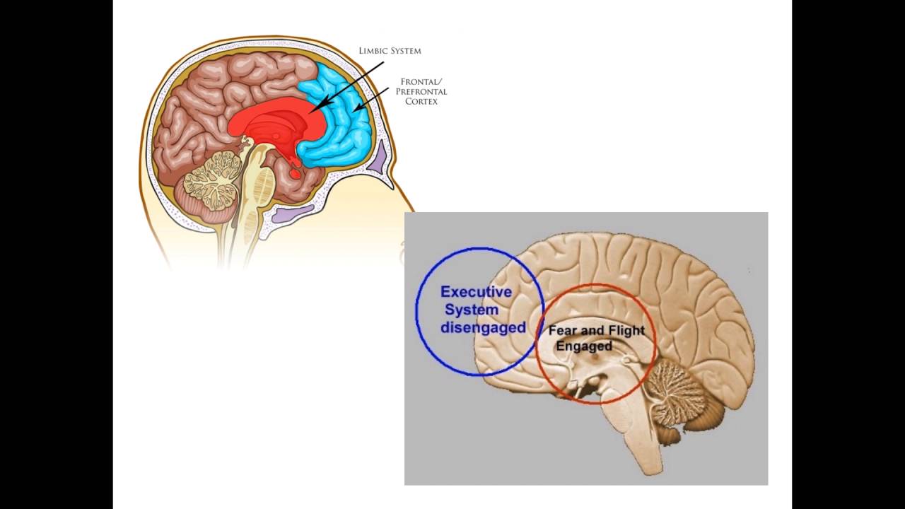 camera iphone 8 plus apk Challenging Behaviour Workshops - June, 2016 (Pt 4)