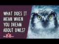 What Does It Mean When You Dream About Owls?