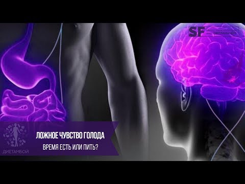 Ложное чувство голода, как его распознать | Рекомендации Светланы Фус