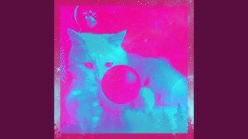 Brilliant Lazy Cat Days