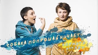 Как отучить собаку попрошайничать со стола? Как отучить собаку попрошайничать со стола?