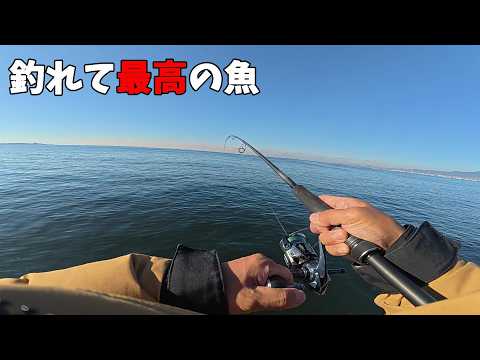 最高のお土産ができた日のサムネイル