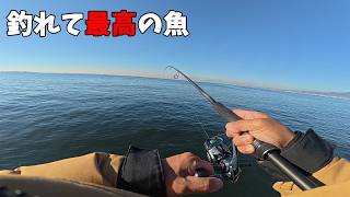 最高のお土産ができた日