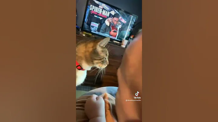They love each other