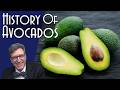 Avocado History and Impact Quiz