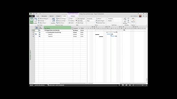 Microsoft Project Do
