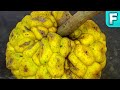 Giant Yellow Mulberry (Myrianthus arboreus) | Fruits You&#39;ve Never Heard Of