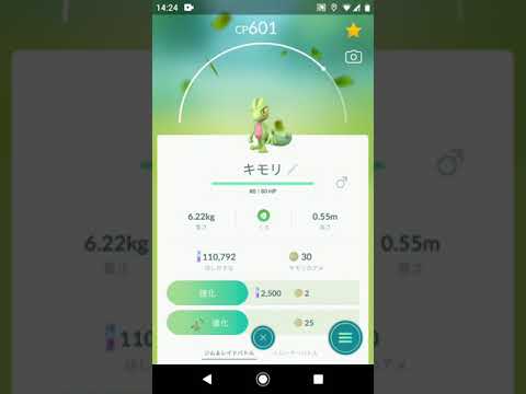 ポケモンgo キモリの入手方法 能力 技まとめ 攻略大百科
