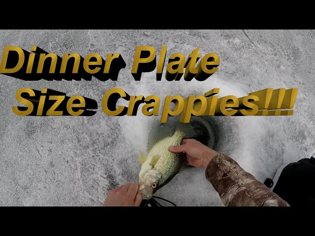 Ice Fishing Crappie - Last Ice Dinner Plate Crappies!!! 