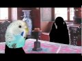 The Sweetness at the Bottom of the Pie Alan Bradley Book Trailer