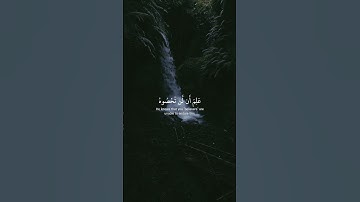 عبد الرحمن مسعد | حالات واتس | سورة المزمل | والله يقدر الليل والنهار