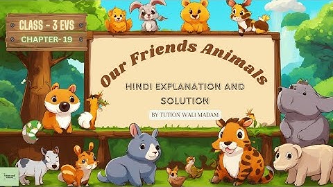 "Engaging Learning Journey: Class 3 EVS Chapter 19 - Our Friends: Animals"
