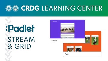 How to Use Stream and Grid in Padlet