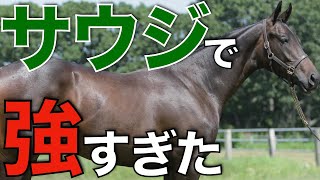 A long-awaited Japanese horse sensation in Saudi Arabia! Forever