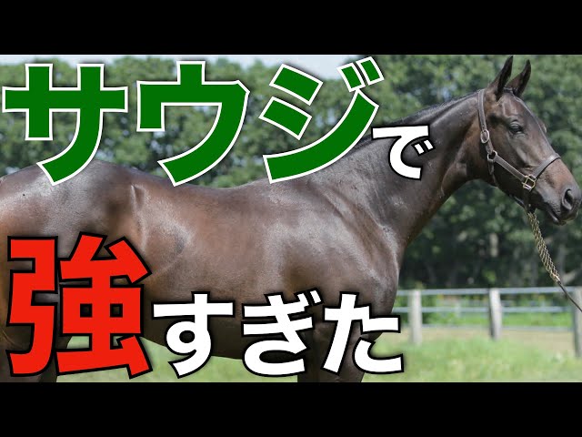 フォーエバー・ヤン　ヤン富田 2025年度JRA賞年度代表馬は、 フォーエバーヤング！ ダート馬の年度