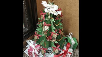 Evergreen Tree Video