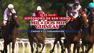 Publicidad Mil y Dos Guineas - HSI - 2018