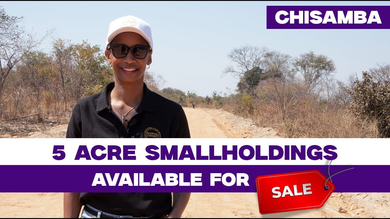 5 ACRE SMALLHOLDING - CHISAMBA