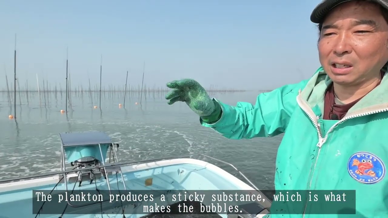 The Process of Producing Nori