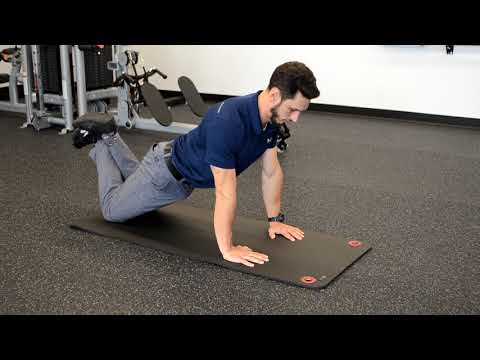 Modified Push Up