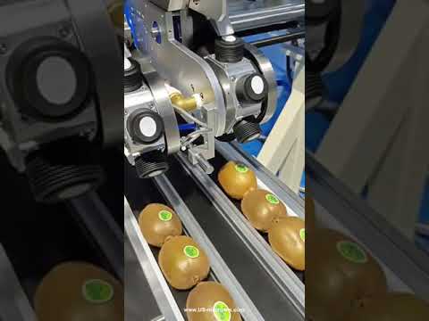 Automatic kiwifruit apple fruit labeling machine small label tag labeling line