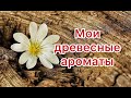 О гендерной принадлежности парфюмов и о древесных ароматах в нашей коллекции.