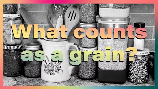 What is a Grain - Staple Grains on Plates News