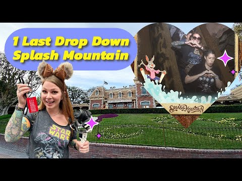 One Last Drop Down Splash Mountain | Disneyland Bestie Day Vlog | Food ...