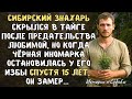 Сибирский ЗНАХАРЬ скрылся в ТАЙГЕ после предательства любимой, а СПУСТЯ 15 лет, он замер едва…
