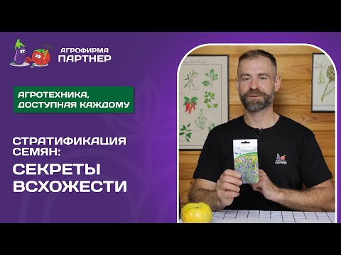 СТРАТИФИКАЦИЯ СЕМЯН: СЕКРЕТЫ ВСХОЖЕСТИ!